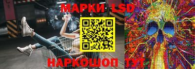 PSILOCYBIN Нальчик