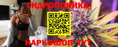 PSILOCYBIN Нальчик