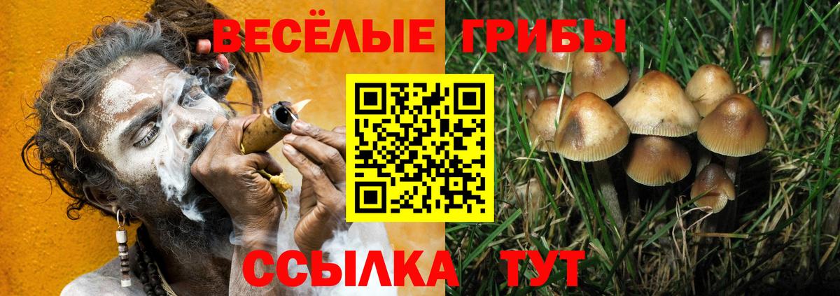 Псилоцибиновые грибы MAGIC MUSHROOMS Унеча