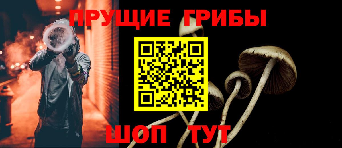 Псилоцибиновые грибы Magic Shrooms  Вход с VPN  Унеча 